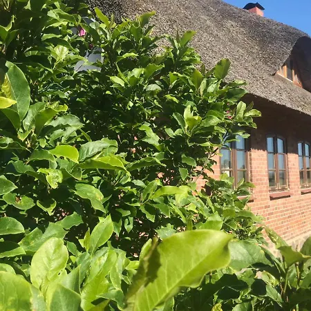Ferienwohnung Familie Manthei Boitin Resdorf Buitenkant foto