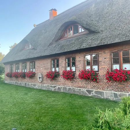 Ferienwohnung Familie Manthei Boitin Resdorf Buitenkant foto