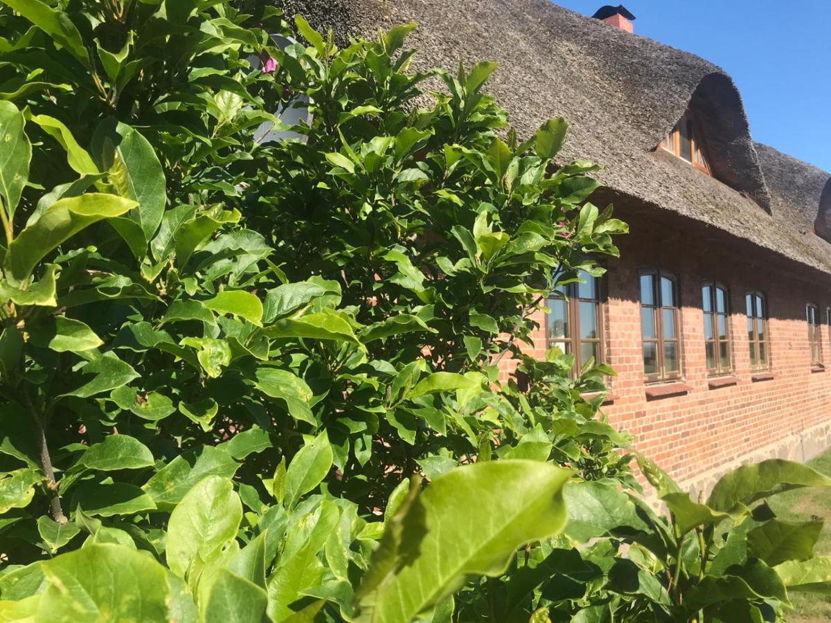 Familie Manthei Apartment *
